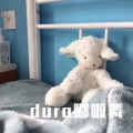 寐加岛、夜忻樂 - 华丽战场