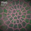 John Bolton、Bolt.I.E. - Web