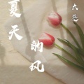 大慈 - 夏天的风 (dj咚鼓版)