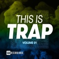4Amf、Shark - Money