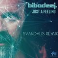 Biba Dee J - Just A Feeling (Svandaus Remix)
