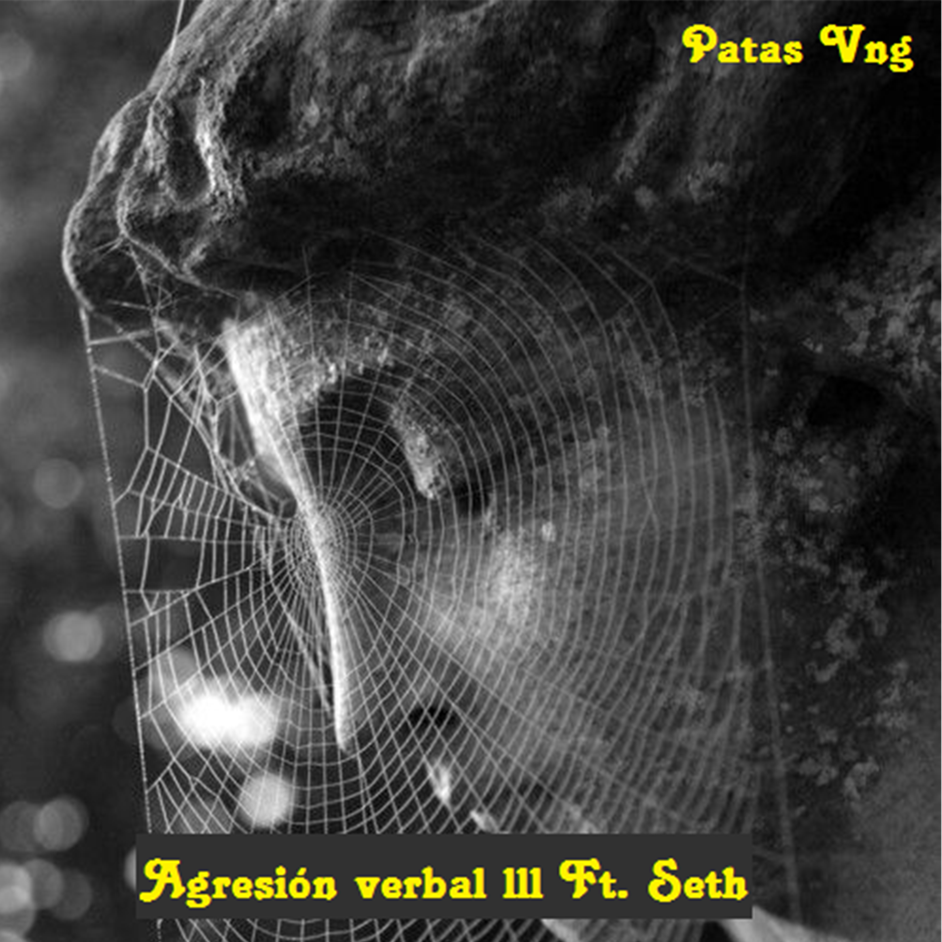 Seth、Patas Vng - Agresión Verbal III
