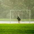 Chakra Balancing Sound Therapy、Relaxing Nature Ambience、Sonido Del Bosque y Naturaleza - Rainy Day Rhapsody