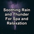 Spa Zen、Spa Music Relaxation、Spa Relaxation - Rain on a Tin Roof and Thunder To Help Your Baby Sleep