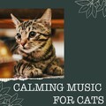 Calming Music for Cats - Harmonious Emotion