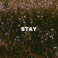Mike James - Stay (Explicit)