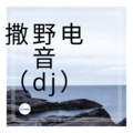 楚楚 - 撒野电音
