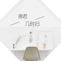 木三岁 - 念君几时归