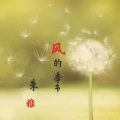 朱雅 - 风的季节