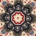 Merz、Miller、the wolves - The Wolf