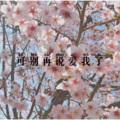 大司马 - 可别再说爱我了 (Remix)