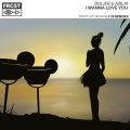 Bolier、NBLM - I Wanna Love You (Extended)