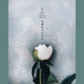 Experience Of Music、智贤贤、God小婕、TBC - 只痛到今天为止