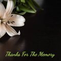 The Platters - Thanks for the Memory