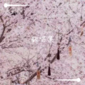 KEN（欧美） - 三角志