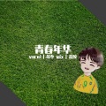 苡不 - 青春年华