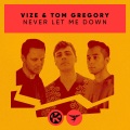 VIZE、Tom Gregory - Never Let Me Down