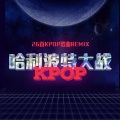 笠晨雷、蕊蕊蕊蕊！、春夏秋刀鱼、Crystal_Melody、阿七本七、1B、HAOZHAN、一只豆子、亦或Even、野生三十 - Crystal_Melody-哈利波特大战Kpop (Remix)
