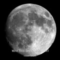 俞佳乐、葡陌 - 披星戴月的想你