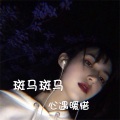 相遇暖惜 - 斑马斑马 (Remix)