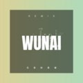 屈眉 - 只想一生跟你走 (Remix)