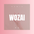 艾安 - 放不下想又怕 (DJ版)