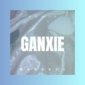 卞华奥 - 愿赌服输 (Remix)