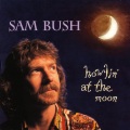 Sam Bush - Go With The Flow