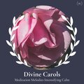 Carl Cooper - Restlessness Soul
