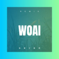 白亚 - 酒都恋歌
