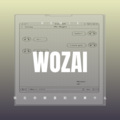 孙安志 - 群魔乱舞