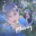 Channy恒川 - Blueming