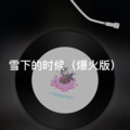 小淼 - 雪下的时候 (DJ版)