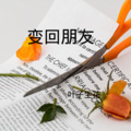 叶子生花 - 别再说 (DJ版)