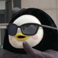 Justice4Yall - 关于小熊