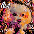 Soothing Dog Sounds - Fetch