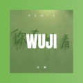 解晓枫 - 寂寞烟火 (Remix)
