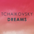 Mikhail Pletnev - 13. Echo rustique (Live)