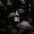 八妹、可可 - 遥远的她 (DJ版)