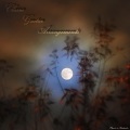 Hwang Minung、Classic is Fantastic、François Couperin - Second Book of Harpsichord Pieces - Les Baricades Mystérieuses
