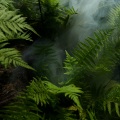 White Noise Babies、Meditation Music Experience、Asian Zen: Spa Music Meditation - Calmness and Serenity