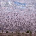 Dj Hit&Run、Madzelerh、Mlondolozierh - Nhliziyo