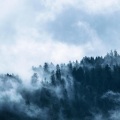 Massage Therapy Music、Smart Baby Lullaby、Shakuhachi Sakano - In the Wind