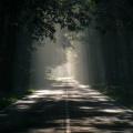 Rain Recorders、Nature Sounds XLE Library、Gentle Rain Makers - Woke