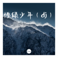 加尔 - 惨绿少年