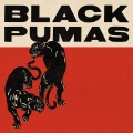 Black Pumas - Fast Car
