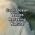Yoga Master、Yoga Shala、Yoga & Meditation - Sleepy Sea Sounds Soothing Sounds For Good and Deep Sleep