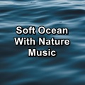 Nature Sound Series、Sound of Nature、Melody of Nature - Peaceful Sea Calm and RelaxingTo Help your Baby Rest and Sleep
