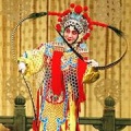 王蓉蓉、孟广禄 - 【大保国】选段：功劳簿无有国太令尊