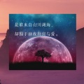 小可 - 快节奏电音3